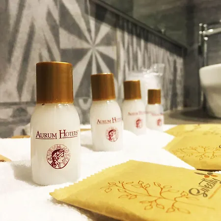 Hotel Aurum Firenze-3